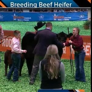 Meet your Posher, Ginger